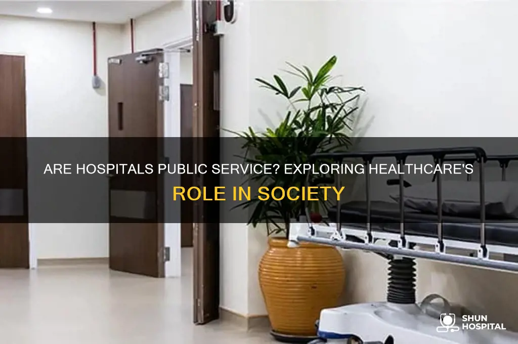 are hospitals public service