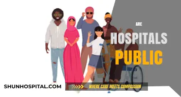 Are Hospitals Public? Exploring Ownership, Funding, and Accessibility