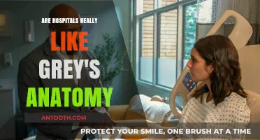 Hospital Drama: Grey's Anatomy vs Reality