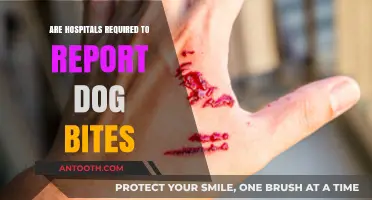 Hospitals' Responsibility in Reporting Dog Bites