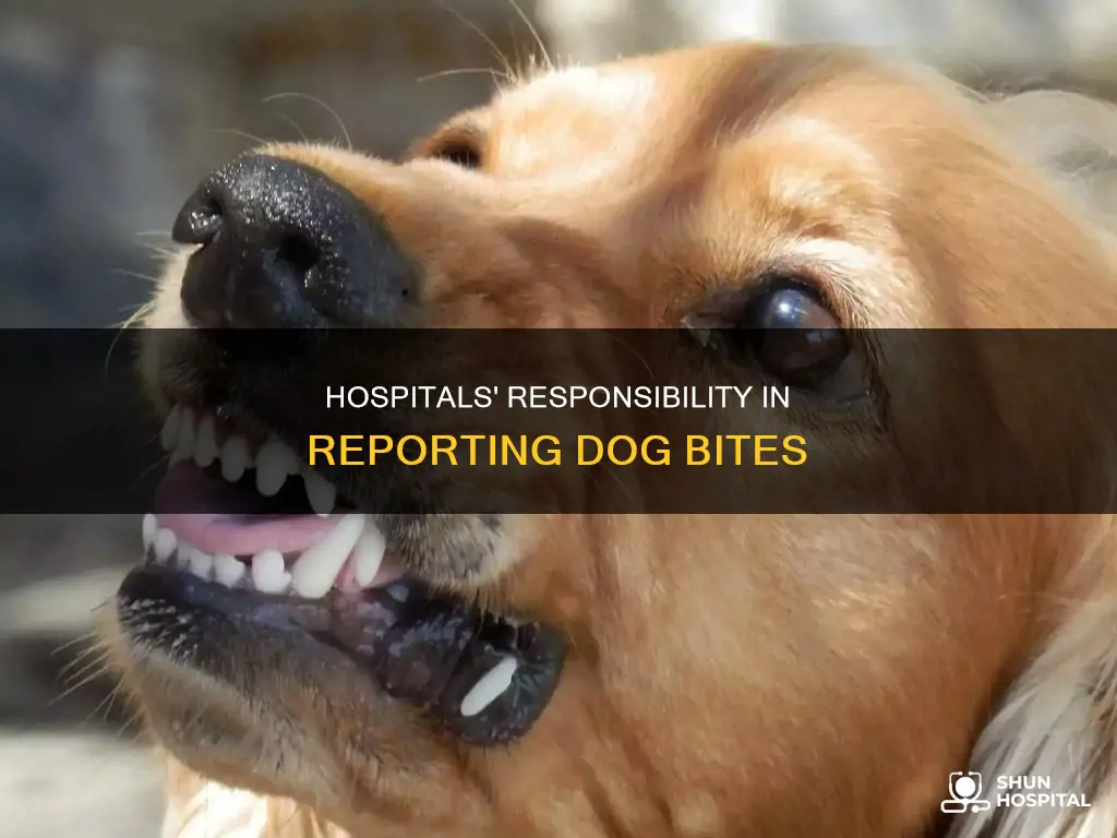 are hospitals required to report dog bites