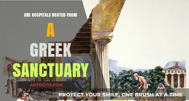 Sanctuaries to Hospitals: The Greek Legacy