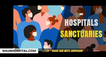 Are Hospitals Truly Sanctuaries? Exploring Safety, Care, and Challenges
