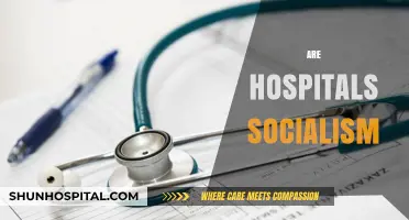 Are Hospitals Socialist? Exploring Public Healthcare and Economic Systems