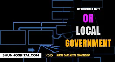 Understanding Hospital Governance: State vs. Local Government Control