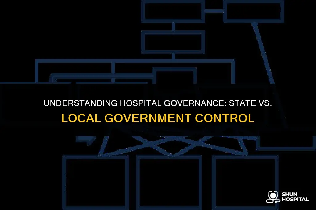 are hospitals state or local government