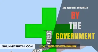 Unraveling the Financial Nexus: Government Subsidies in Healthcare
