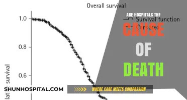 Unveiling the Truth: Are Hospitals Really the Cause of Death?