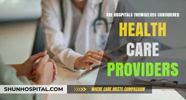 Hospitals: Health Care Providers or Not?