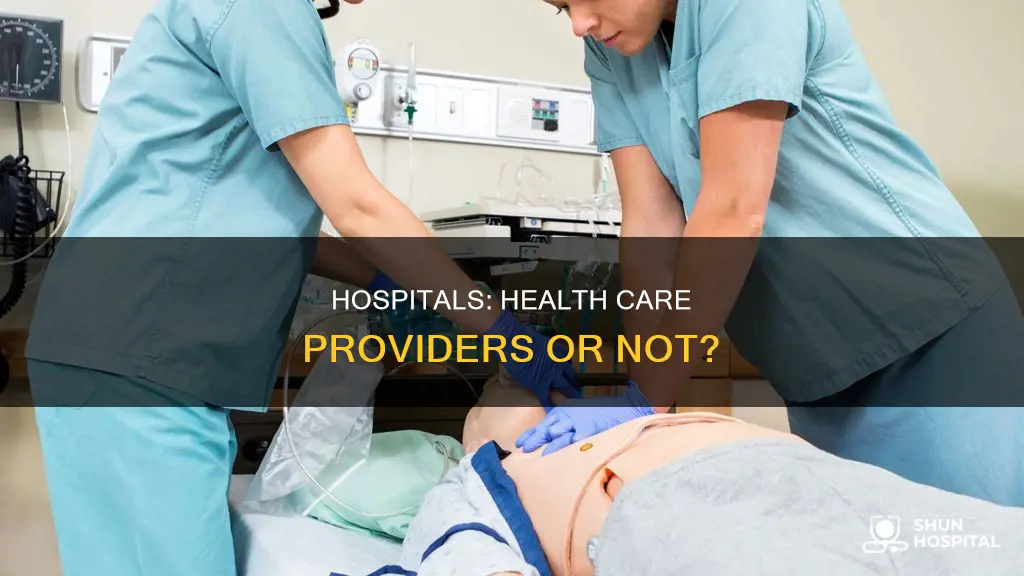 are hospitals themselves considered health care providers
