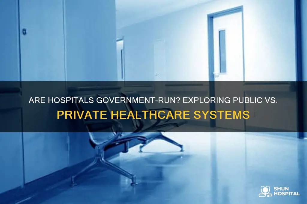 are hospitals under government