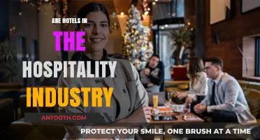 Exploring the Role of Hotels in the Vibrant Hospitality Industry