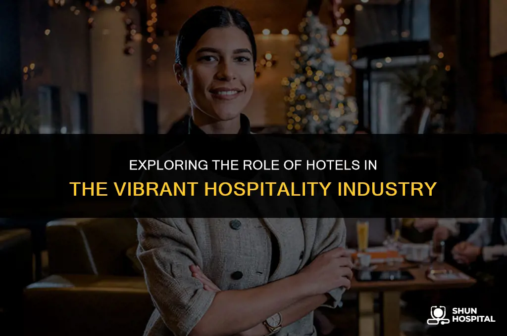 are hotels in the hospitality industry