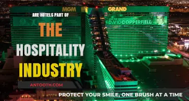 Hotels: The Heart of the Hospitality Industry