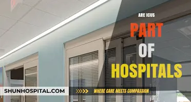 Are ICUs Integral Components of Modern Hospitals? Exploring Their Role