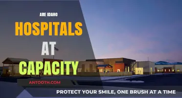 Idaho Hospitals at Capacity: Current Status and Patient Impact
