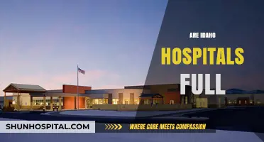 Are Idaho Hospitals Full? Examining Capacity and Healthcare Challenges