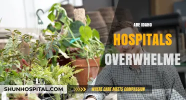 Are Idaho Hospitals Overwhelmed? Examining Healthcare Capacity and Challenges
