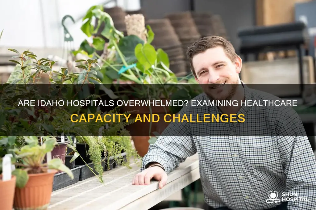 are idaho hospitals overwhelmed