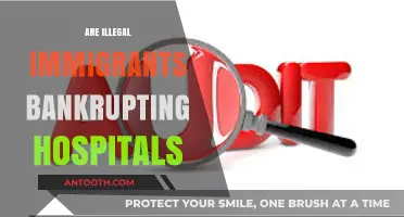 Are Illegal Immigrants Bankrupting Hospitals? Unraveling the Healthcare Debate