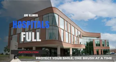 Illinois Hospitals at Capacity: Analyzing Current Occupancy and Patient Care Challenges