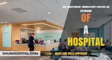 Independent Ambulatory Centers: Hospital Extensions or Standalone Healthcare Facilities?