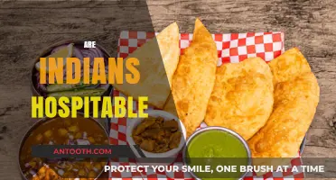 Exploring the Warmth and Hospitality of Indian Culture: Are Indians Hospitable?