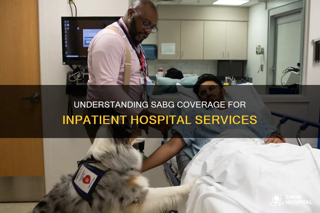 are inpatient hospital services covered by sabg