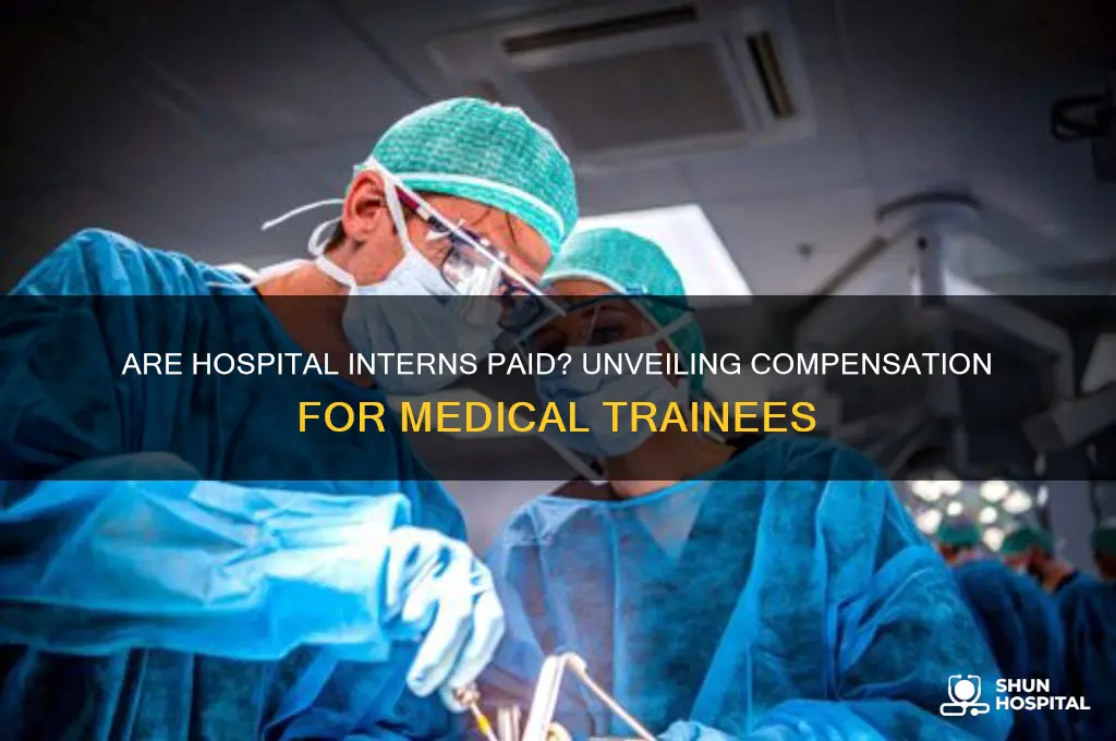 are interns in hospitals paid