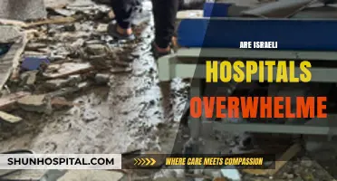 Are Israeli Hospitals Overwhelmed? Examining the Current Healthcare Crisis