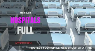 Are Italian Hospitals Overcrowded? Exploring the Current Healthcare Situation