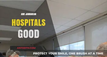 Are Jamaican Hospitals Good? Exploring Healthcare Quality and Patient Experiences