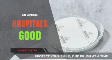 Exploring Japan's Healthcare: Are Japanese Hospitals Truly World-Class?
