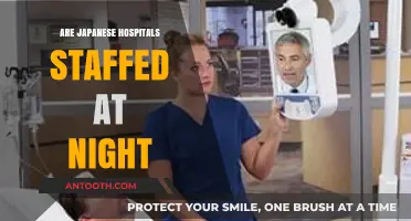 Unveiling the Truth: Nighttime Staffing in Japanese Hospitals