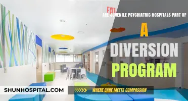 Juvenile Psychiatric Hospitals: Diversion Program or Necessary Treatment?