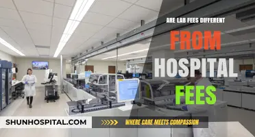Understanding the Difference Between Lab and Hospital Fees