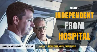 Are Labs Truly Independent from Hospitals? Exploring the Relationship