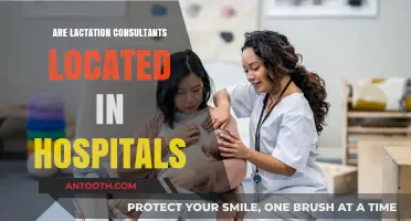 Exploring Lactation Support: Are Consultants Available in Hospitals?