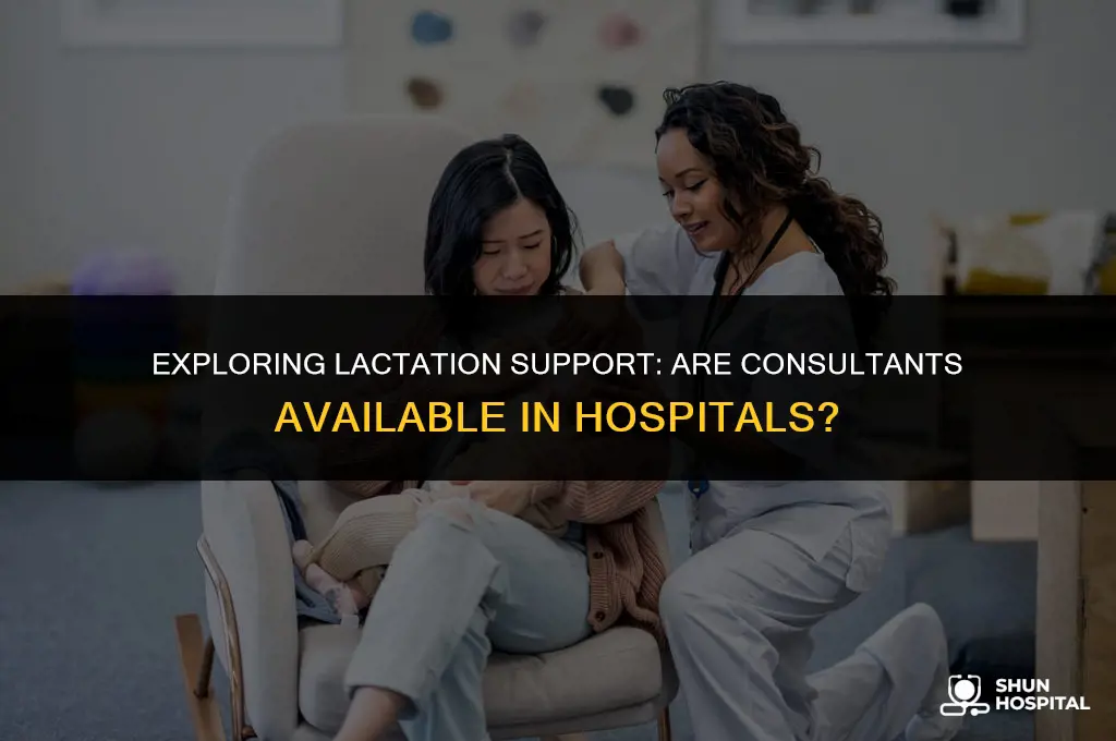 are lactation consultants located in hospitals