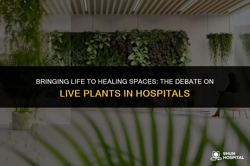 are live plants allowed in hospitals