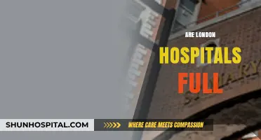Are London Hospitals at Capacity? Current Status and Challenges