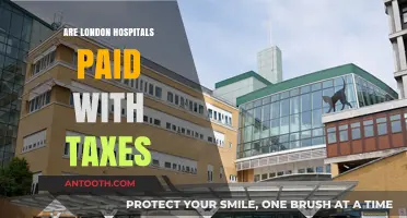 Funding London's Healthcare: A Taxpayer's Guide to Hospital Finances