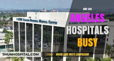 Are Los Angeles Hospitals Overwhelmed? Exploring the City's Healthcare Demand