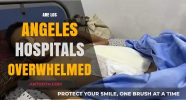 Are Los Angeles Hospitals Overwhelmed? Examining the Current Healthcare Crisis