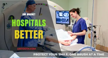 Are Magnet Hospitals Superior? Exploring Benefits, Challenges, and Patient Outcomes