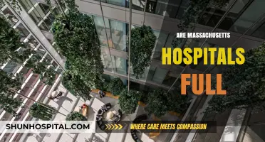 Are Massachusetts Hospitals at Capacity? Current Status and Insights