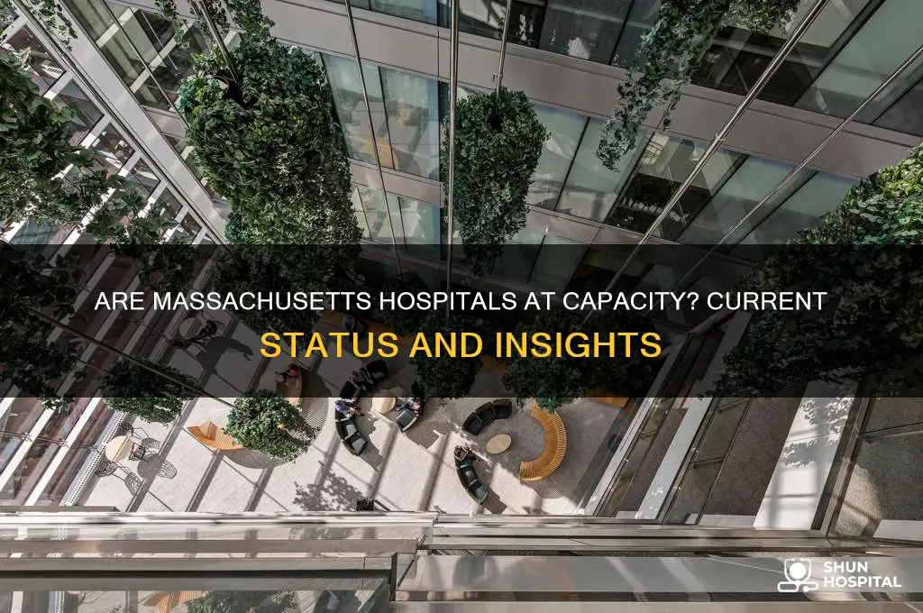are massachusetts hospitals full
