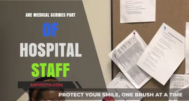 Scribes in Healthcare: Who Are They?