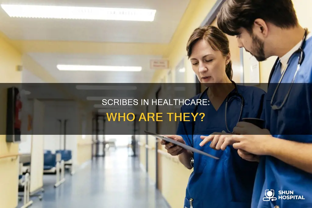 are medical scribes part of hospital staff