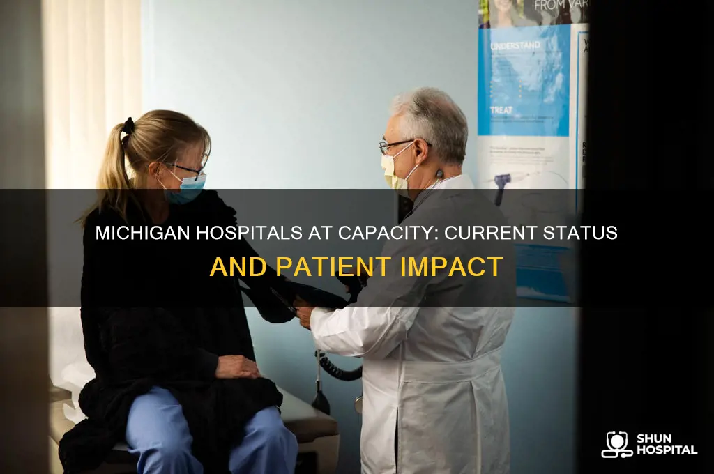 are michigan hospitals at capacity